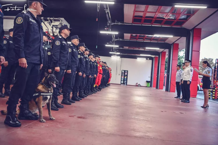 Catelul Shiba Ciobănesc belgian Malinois ISU Timis