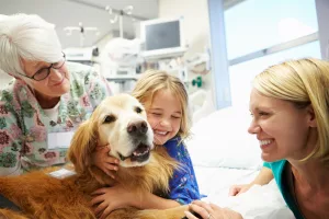 câini de terapie și pacienți