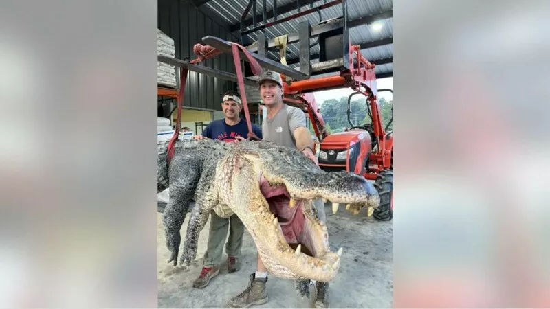 Captură record pentru patru vânători; sursă foto: Fox News
