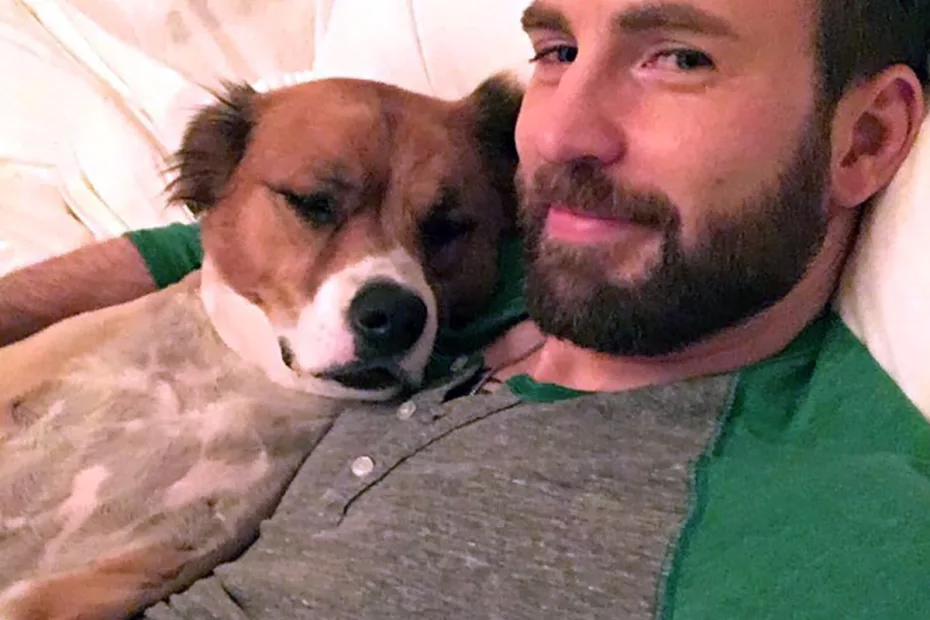 Chris Evans și câinele său, Dodger; Sursa foto: E! Online