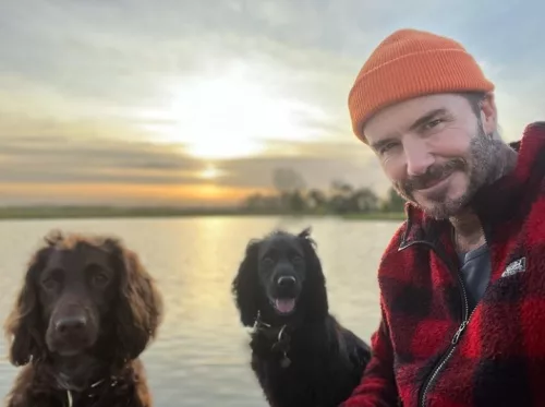 David Beckham și prietenii săi fideli