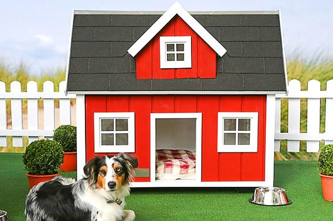 Farm House, Sursa foto: IheartDogs