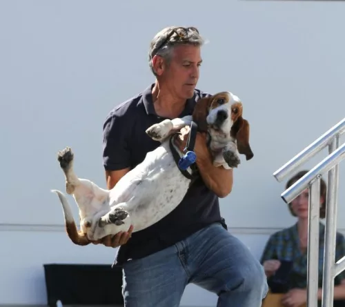 George Clooney cu cainele