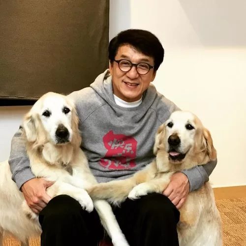Jackie Chan și câinii săi