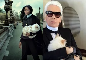 Pisica regretatului designer Karl Lagerfeld a apărut în revista Vogue