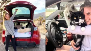 S-a mutat în mașină cu pisica și câinele