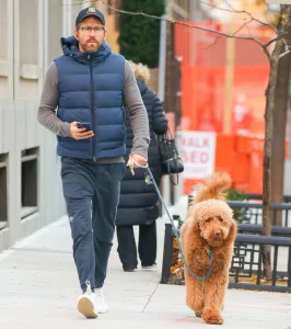 Ryan Reynolds la plimbare cu prietenul său sârmos
