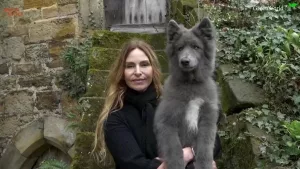 Femeia care și-a inventat propria rasă de câine-lup