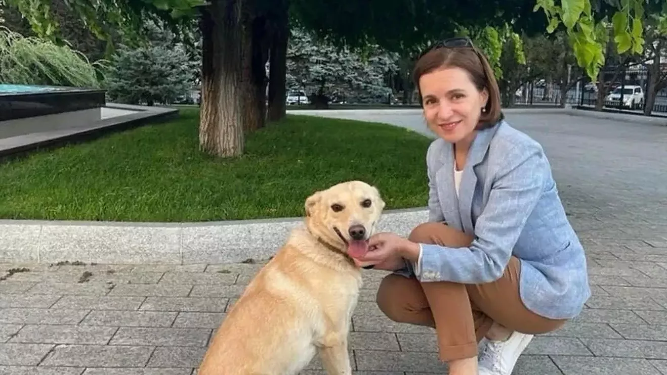 Maia Sandu surprinsă de aparatul foto cu catelul Codrut