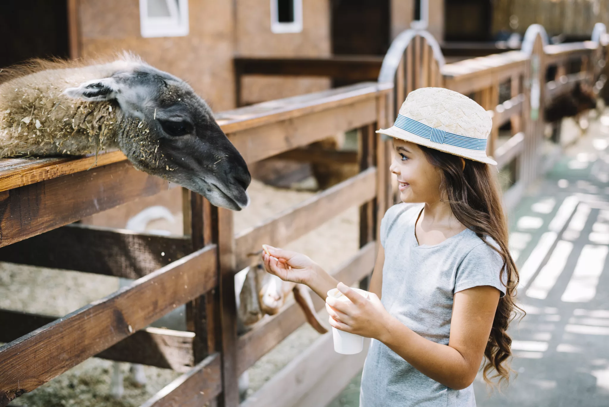 Câte animale: La zoo