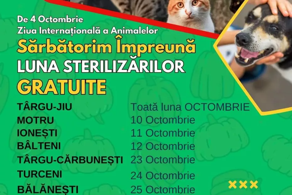 Sterilizări gratuite în Gorj!