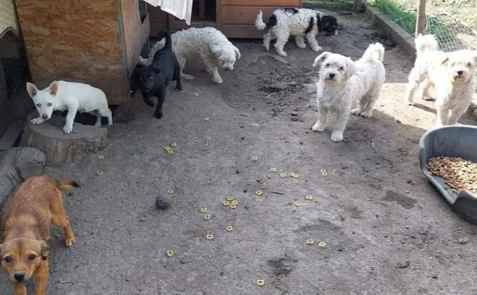 Un erou nevăzut!