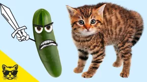 De ce se sperie pisicile de legume?