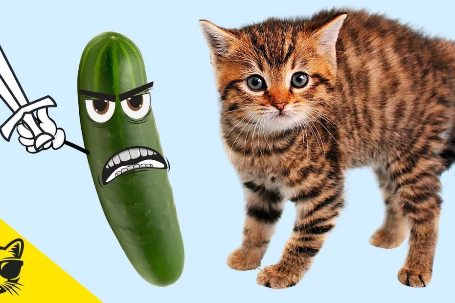 De ce se sperie pisicile de legume?