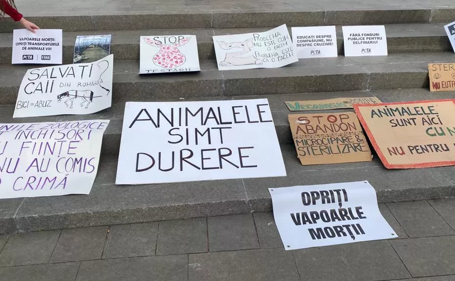 Protest în mijlocul Clujului!
