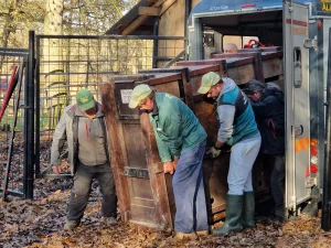 Grădina Zoologică din Tg Mureș