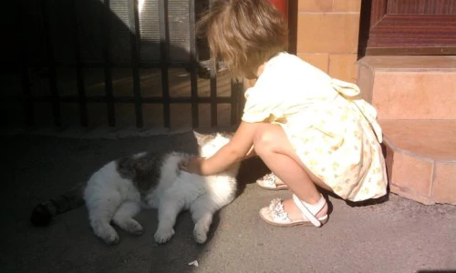 Oh root Cleanly Mowgli chiar există! Și e fetiță!